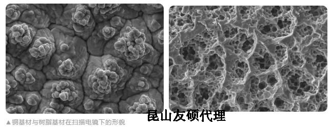 钦州蔡司钦州扫描电镜