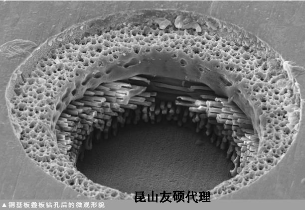 钦州蔡司钦州扫描电镜